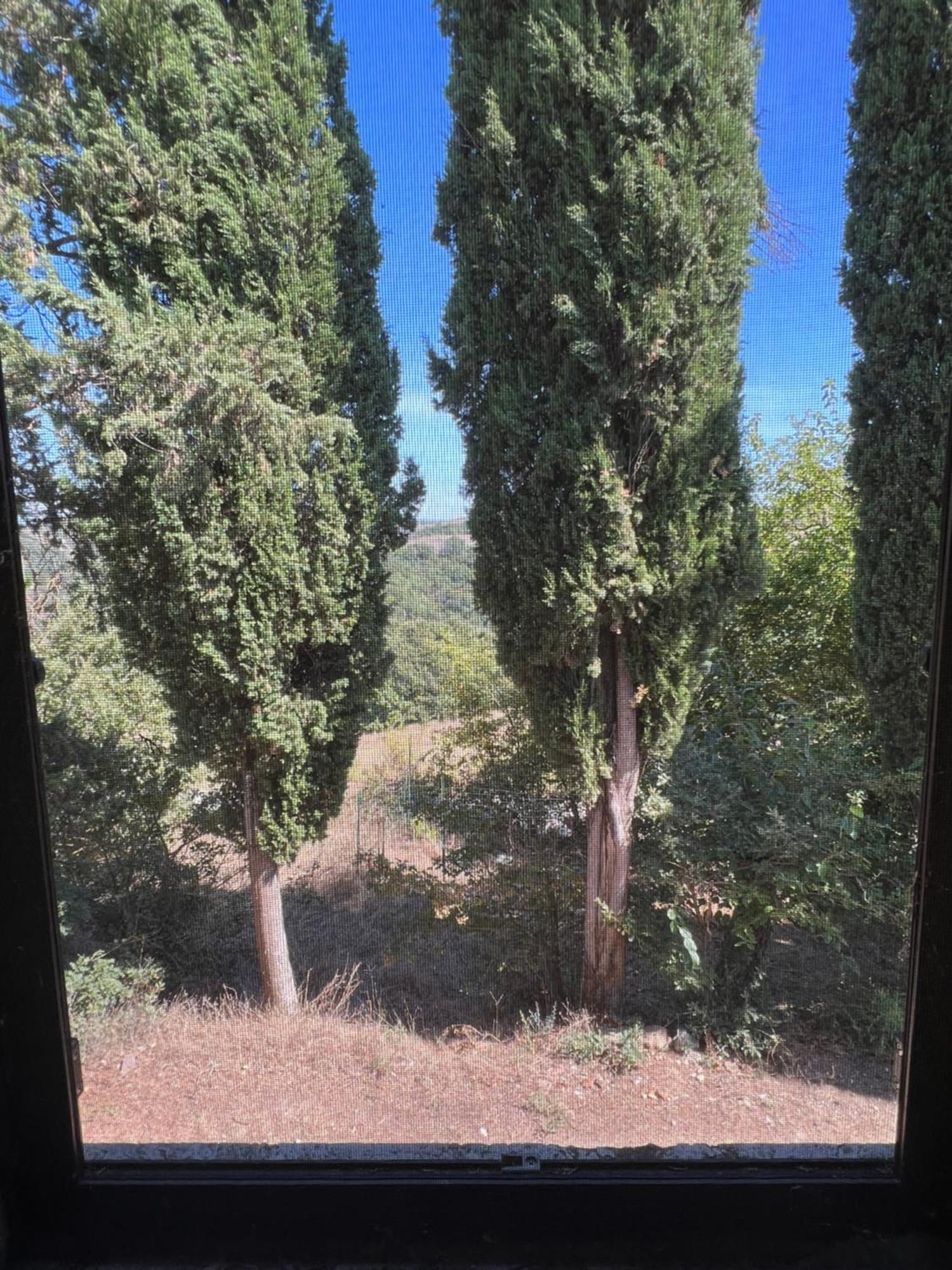 Agriturismo Diffuso Monte Oliveto Maggiore Chiusure Экстерьер фото